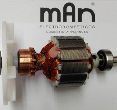 ENS. ROTOR DE LIC. 2021 127V, 500w